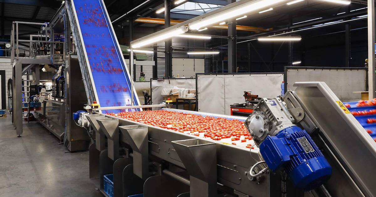 Koppert Machines | Multipacker XL packer
